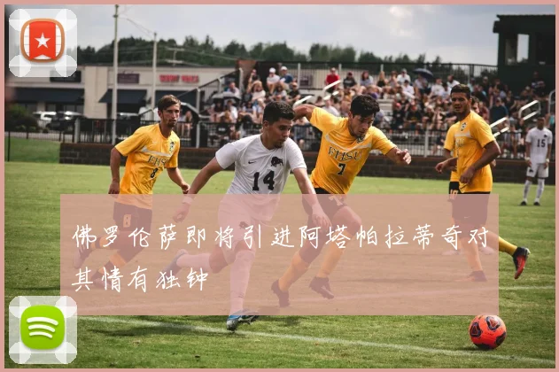 佛罗伦萨即将引进阿塔帕拉蒂奇对其情有独钟